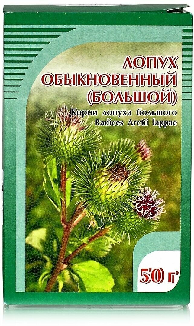 Лопух обыкновенный корни