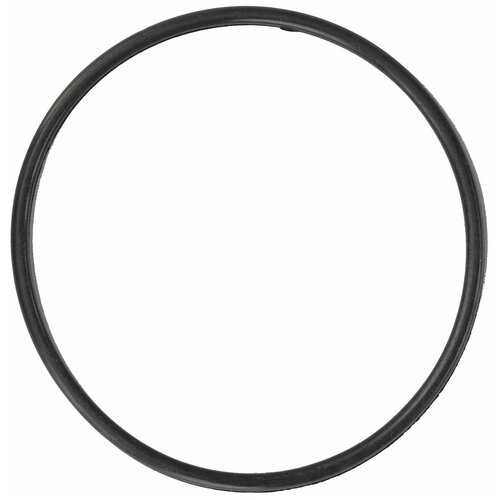 Уплотнительное кольцо, для колбы фильтров 20 BB AQUAPRO