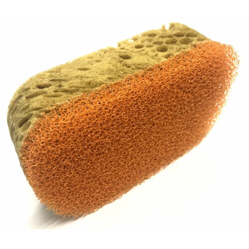 Губка 