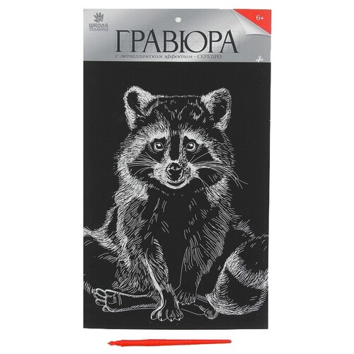 фото Школа талантов гравюра на подложке «енот» с металлическим эффектом «серебро» а4