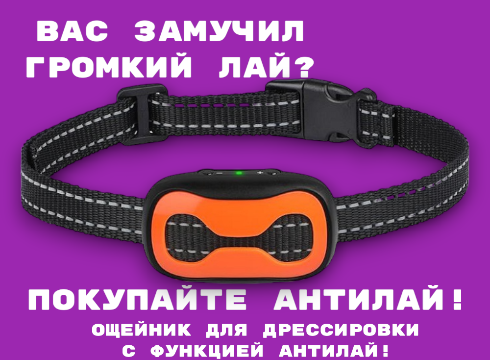 Электронный ошейник для дрессировки собак с функцией "Антилай" TZ-PET 681V (оранжевый) (кость) - фотография № 1