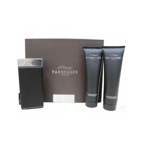 Парфюмерная вода Dupont Passenger 100 мл.