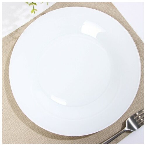 Тарелка обеденная «Зефир», d=25 см, цвет белый