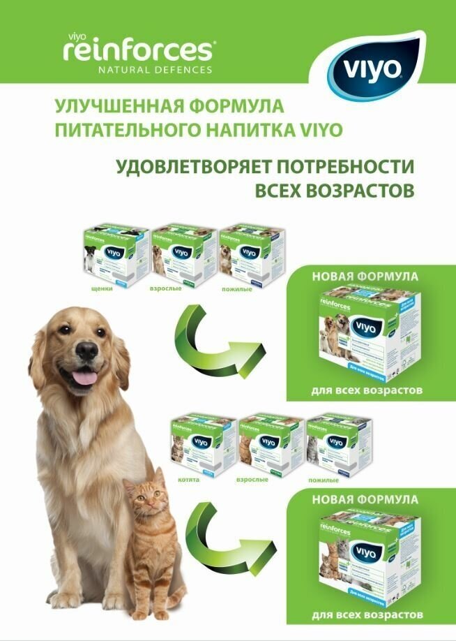 Стоит ли покупать Напиток-пребиотик Viyo Reinforces Dog для всех возрастов?  Отзывы на Яндекс Маркете