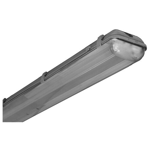 Настенно-потолочный светильник Ксенон ЛСП01-2х18-012 Норд, G13, 36 Вт, кол-во ламп: 2 шт., 4000 К, цвет арматуры: серый, цвет плафона: бесцветный