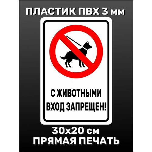 Информационная табличка на дверь - С животными вход запрещен! 30х20 см табличка на дверь вход строго с алкоголем