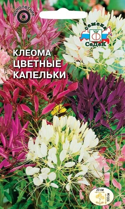 Семена цветов СеДеК - фото №2