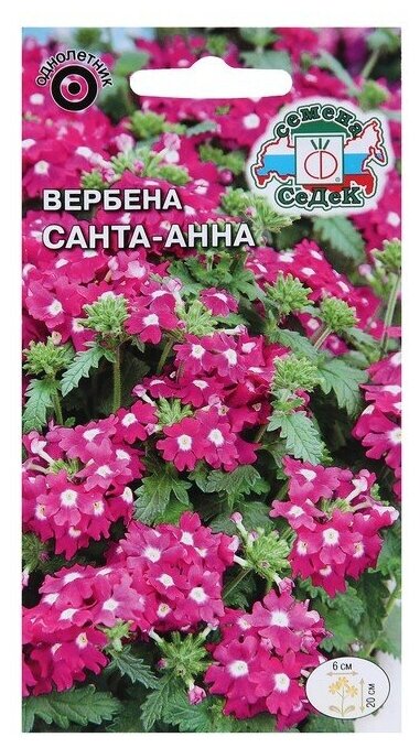 Семена цветов цветок Вербена Санта-Анна (гибридная низкорослая розовая) . Евро 01 г