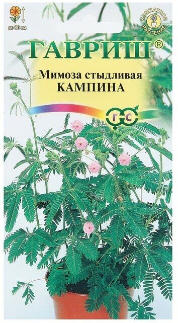 Мимоза стыдливая Кампина (01 г) 2 пакета