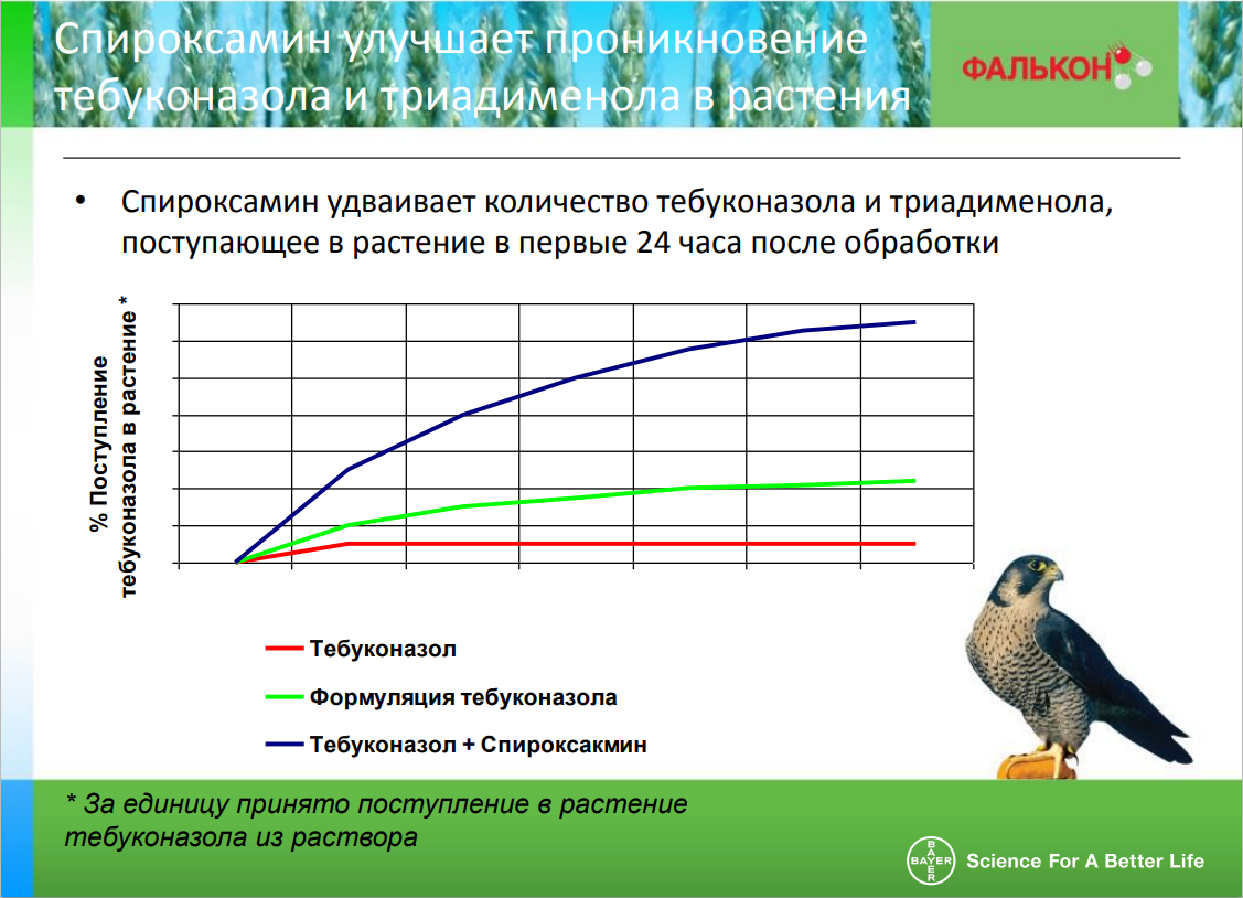 Фунгицид Фалькон 100 мл - фотография № 7