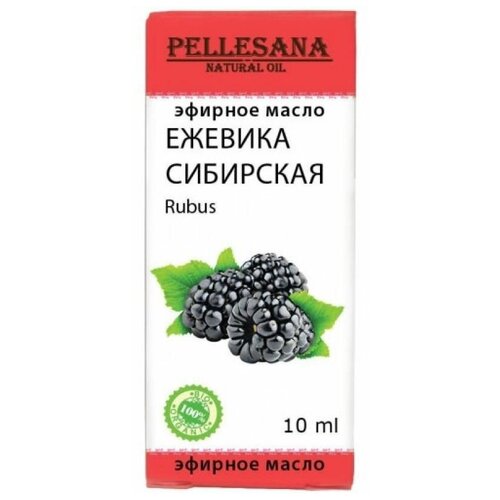 PELLESANA эфирное масло Ежеика сибирская, 10 мл парфюмерное масло ла де классик коллекшн blackberry 6 мл perfume oil la de classic collection blackberry 6 ml