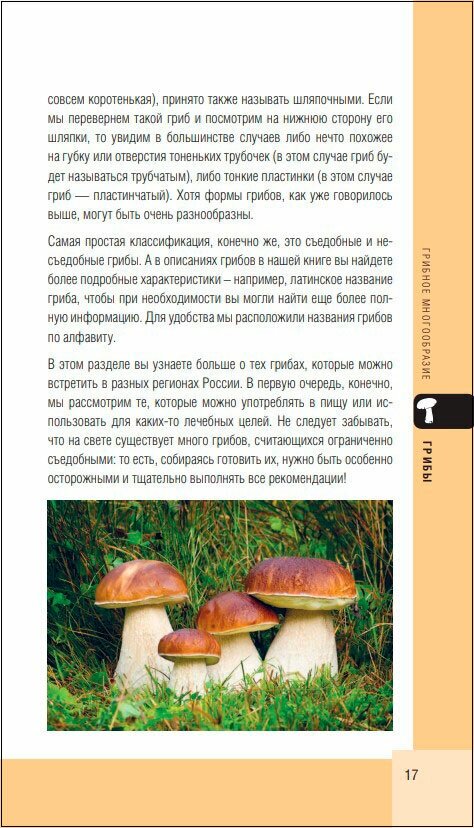 Лесной гид: грибы, ягоды, травы. Карманный атлас-определитель - фото №10