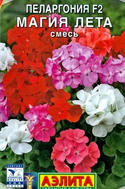 Пеларгония зональная многолетник