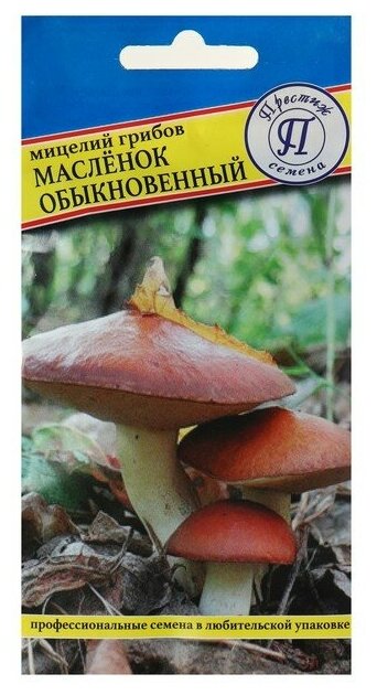 Мицелий грибов Маслёнок обыкновенный, 50 мл 2743453