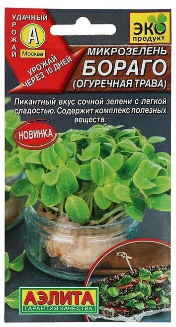 Семена Микрозелень Бораго (огуречная трава) 3г 2 шт