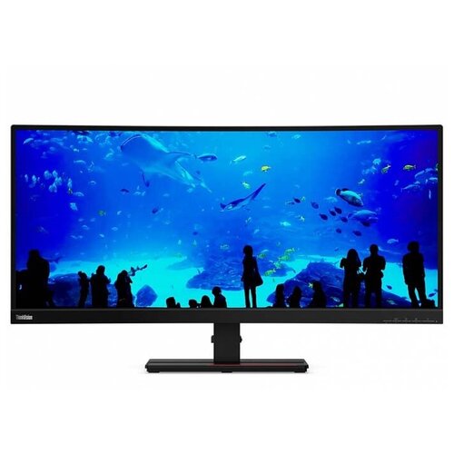 Монитор Lenovo ThinkVision T34w-20 34 Curved 219 VA 3440x1440 4ms 30001 350 178178 HDMI 20DP 12USB-CTilt lift swivel USB-Hub 75W USB-C 6981300₽