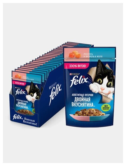 Корм для взрослых кошек FELIX с лососем и форелью 85 гр. - фото №9