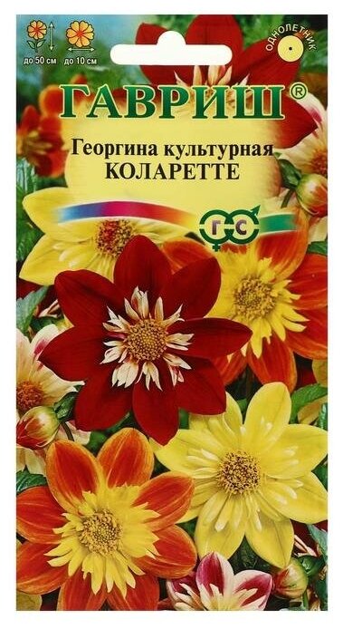 Семена цветов Георгина "Коларетте", 0,2 г