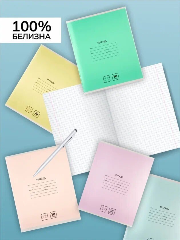 Тетрадь в клетку 18 листов AХLER, набор 20 штук, А5, школьный комплект из 5 видов, картонная обложка