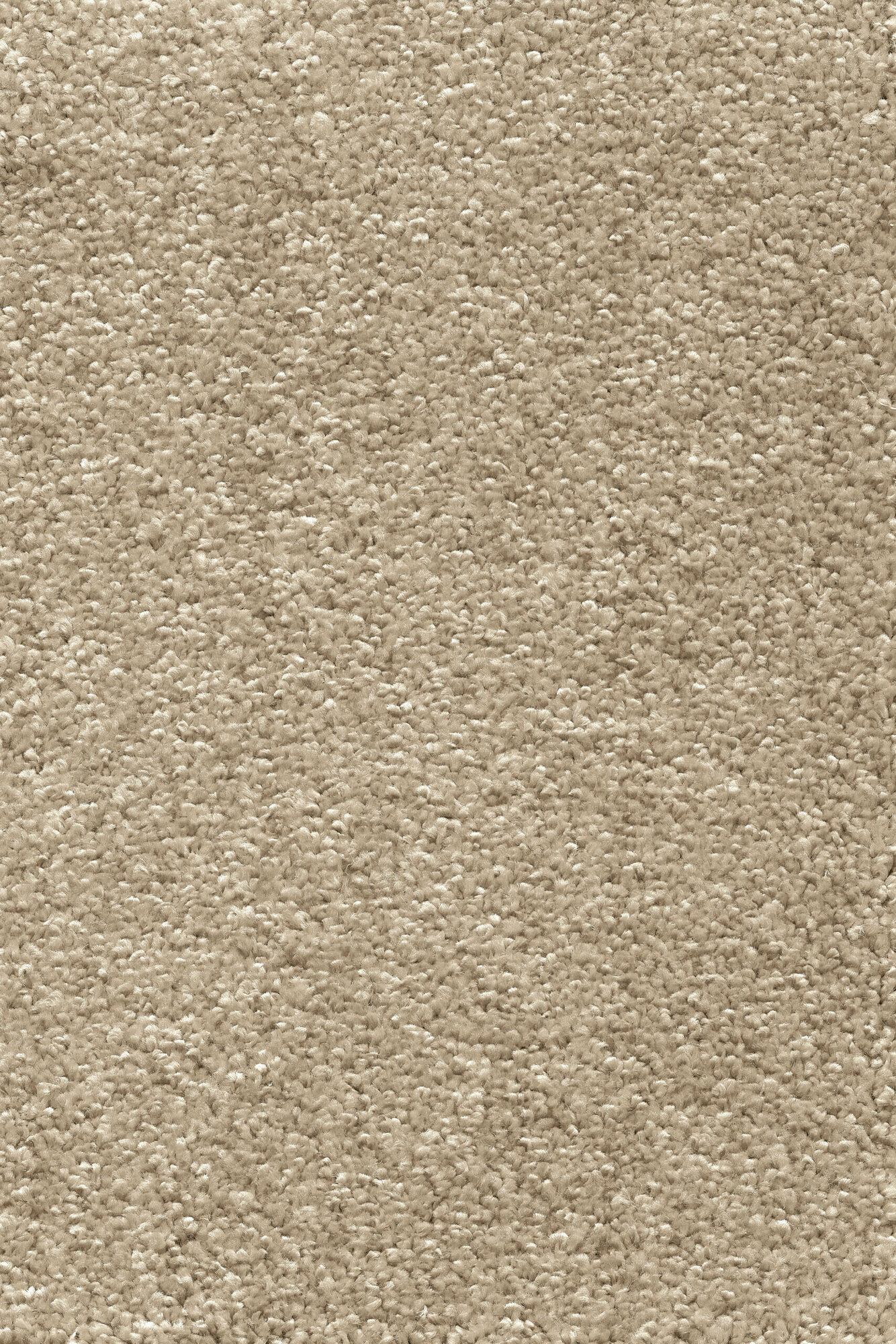 фото Ковровое покрытие AW Omnia 33 ширина 4 м