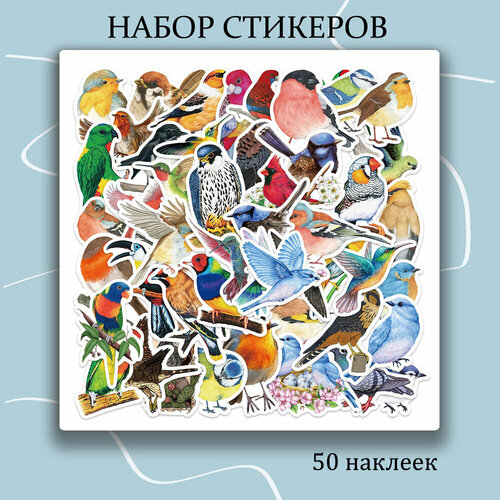 Набор наклеек Птицы 50 шт / стикеры самоклеющиеся набор наклеек черепа 50 шт стикеры самоклеющиеся