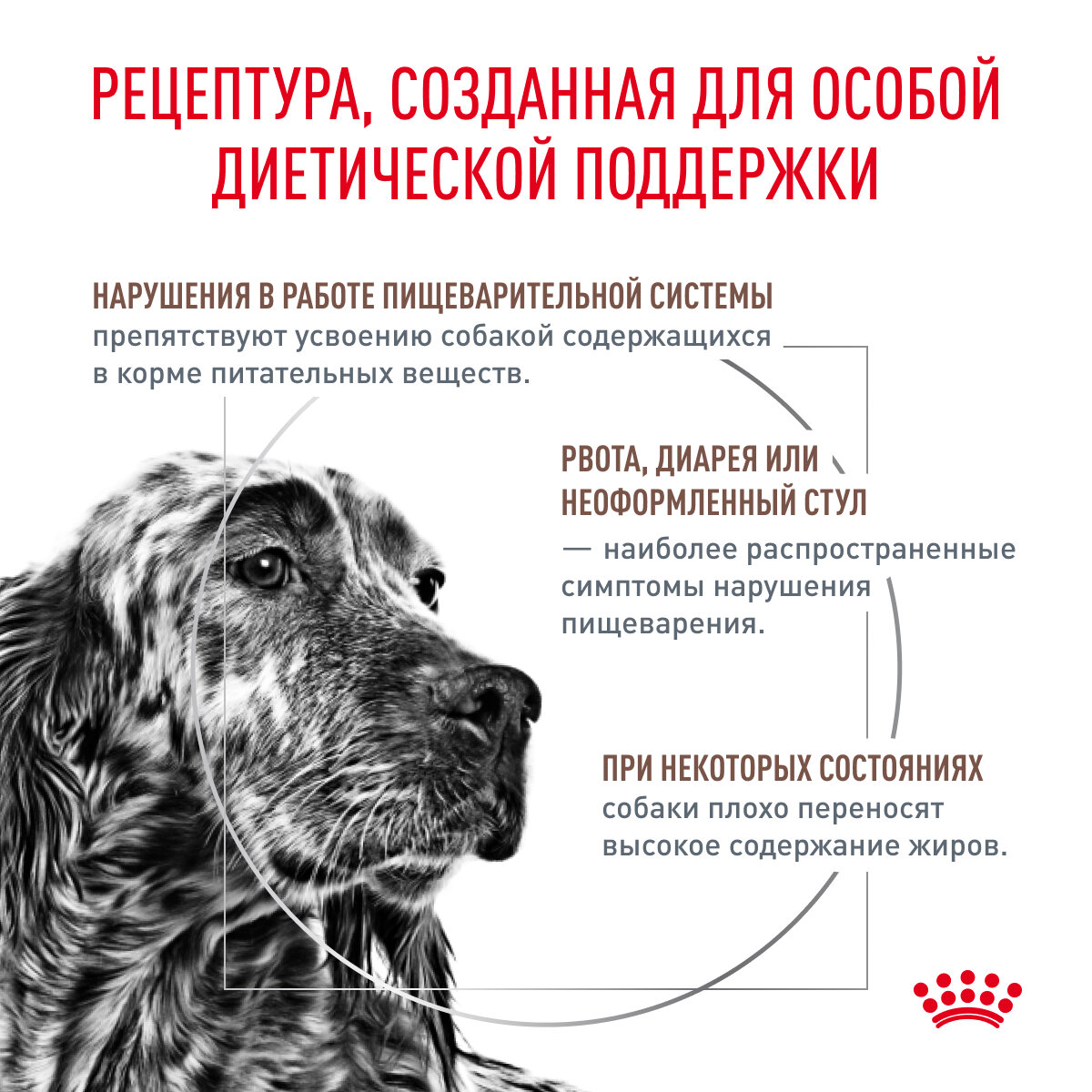 Сухой диетический корм Royal Canin Veterinary Diet Gastro Intestinal Low Fat для взрослых собак с ограниченным содержанием жиров, 1.5кг - фото №3