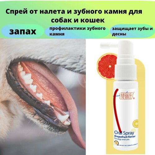 Tres Oral Spray Спрей от налета и зубного камня для собак и кошек, освежающий и успокаивающий 25ml Грейпфрут