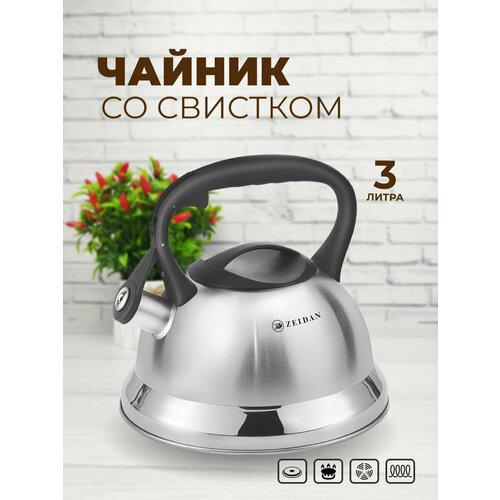 фото Чайник 3 л из нержавеющей стали для всех плит, включая индукционную zeidan