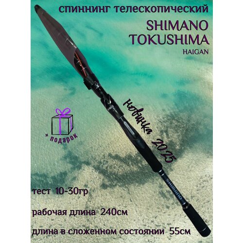 Спиннинг Shimano Tokushima Haigan 2.4, телескоп, карбоновый, черно-серый