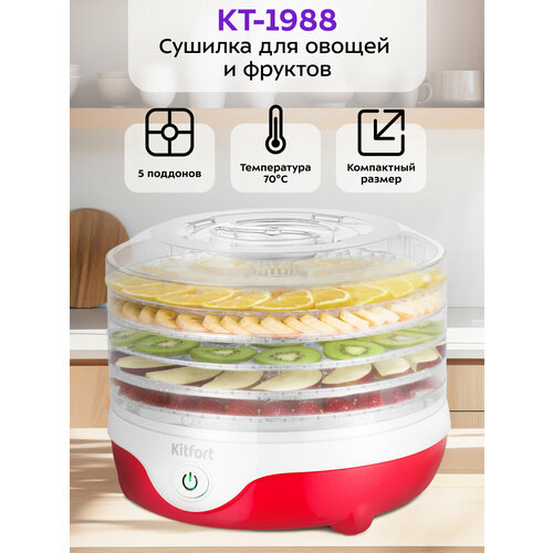 Сушилка для овощей и фруктов Kitfort КТ-1988