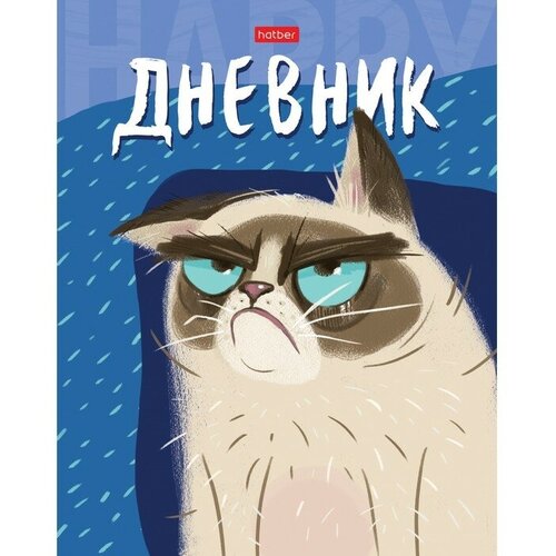 Дневник твердая обложка 1-11 класс 40 листов Сами с усами матовая ламинация 427₽