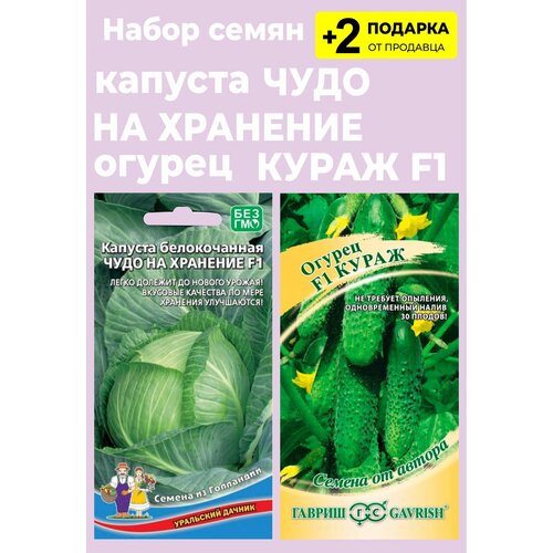 Набор семян: Капуста белокочанная "Чудо на хранение F1", 0,3 гр. + Огурец "Кураж F1" + 2 Подарка