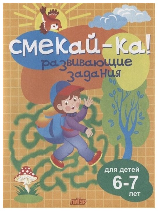 Книга с заданиями Литур Смекай-ка! Развивающие задания для детей 6-7 лет, Бортникова (978-5-9780-1153-1)