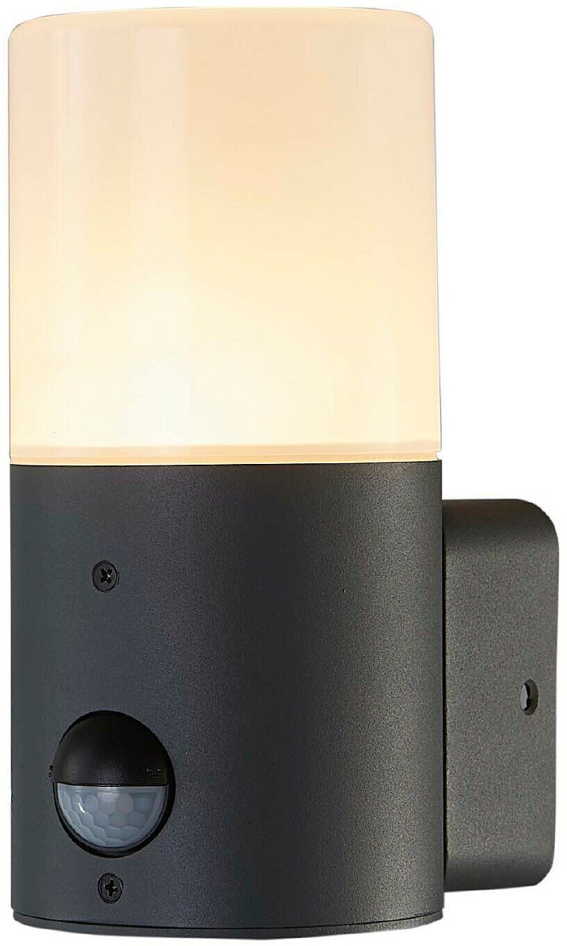 Уличный настенный светильник Escada Pair 581/1A, E27, кол-во ламп:1шт, Серый