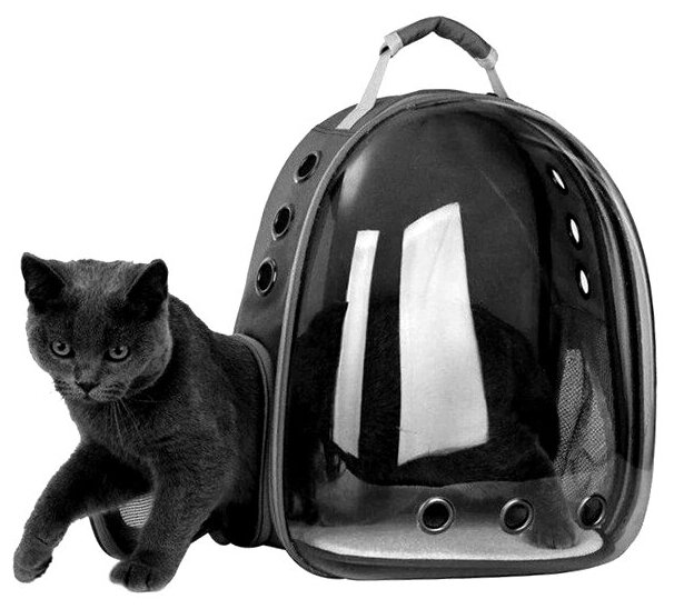 Рюкзак — переноска с прозрачной стенкой. Черный. 36x24x48 см - фотография № 1