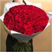 Букет живых цветов из 101 красной розы (60 см)