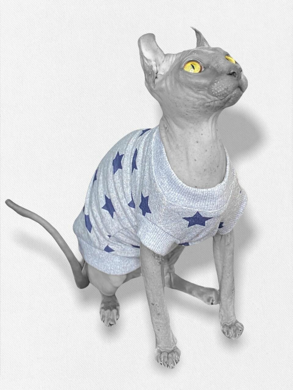 Футболка свитер для Сфинксов Кошки Кота / XL / Звезды - фотография № 2