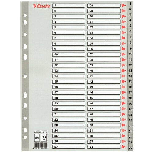 Разделитель 1-54 раздела Esselte, А4, пластик, серый, титульный лист