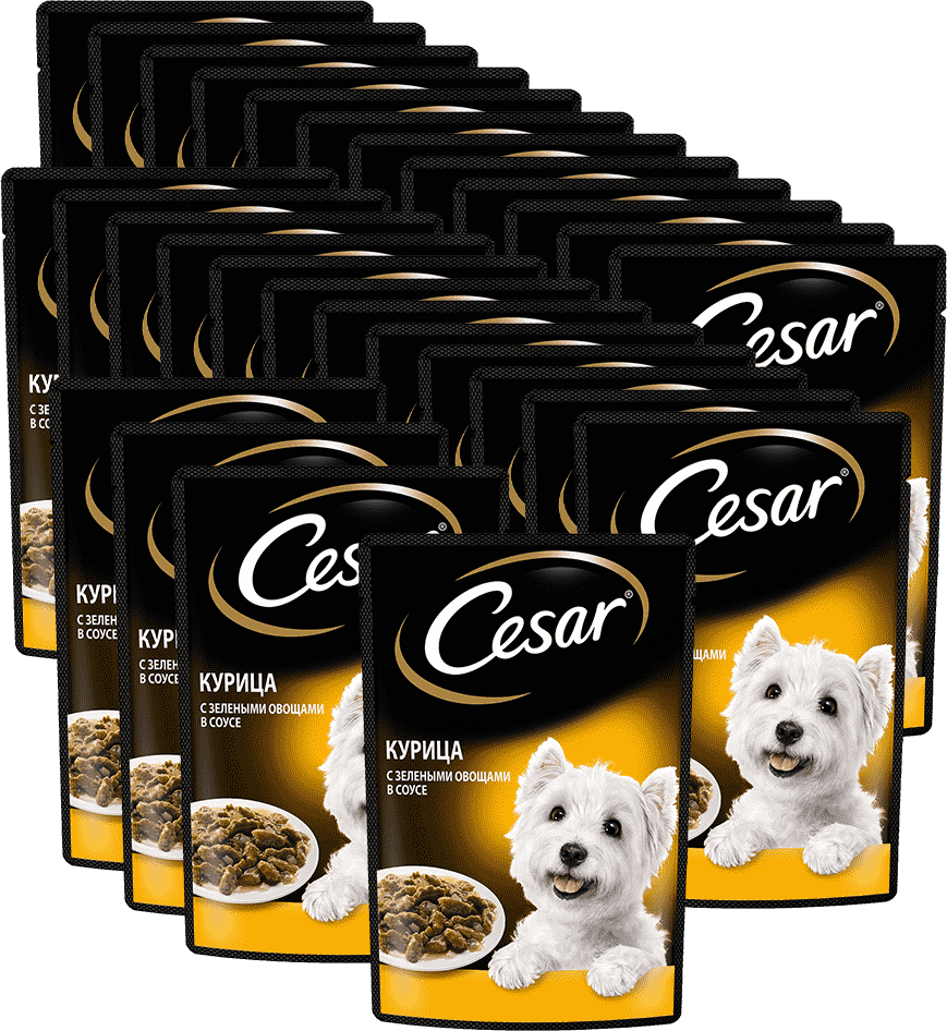 Корм для собак CESAR Курица с зелными овощами пауч 85 г (упаковка - 28 шт)