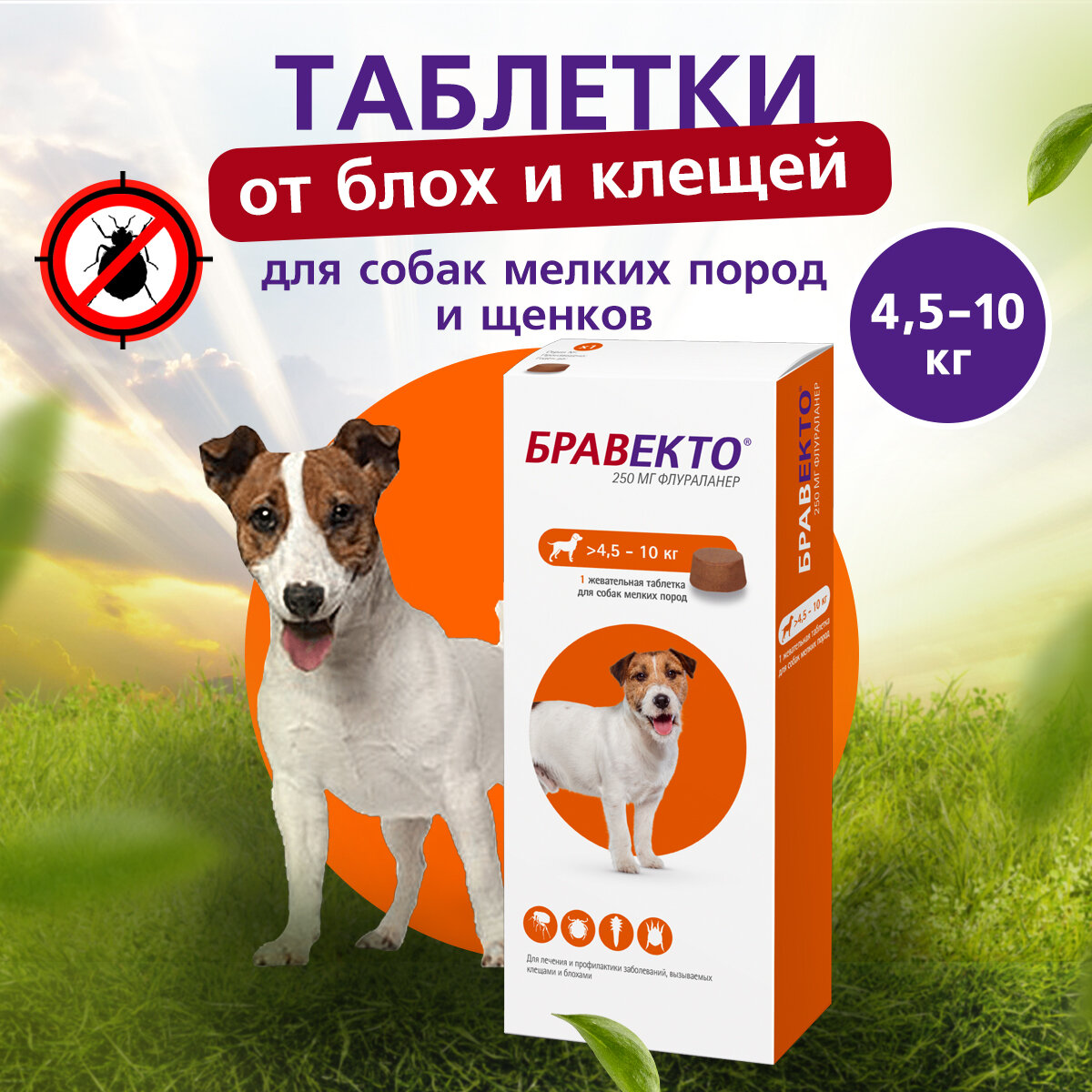 MSD Animal Health  Бравекто таблетки от блох и клещей для мелких пород собак 1 шт. в уп., 1 уп.