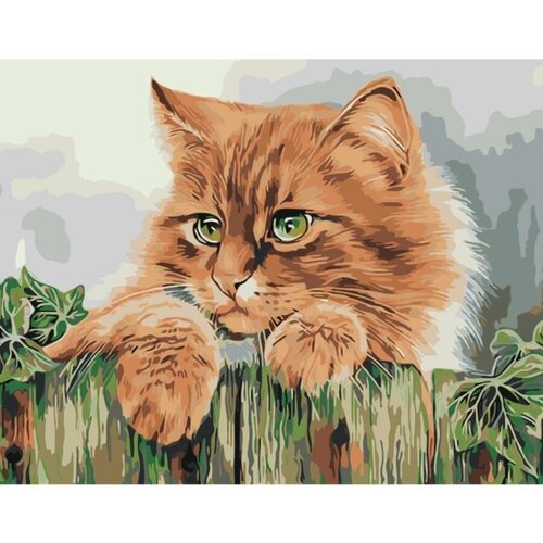 Картина по номерам Рыжая кошка 40х50 см