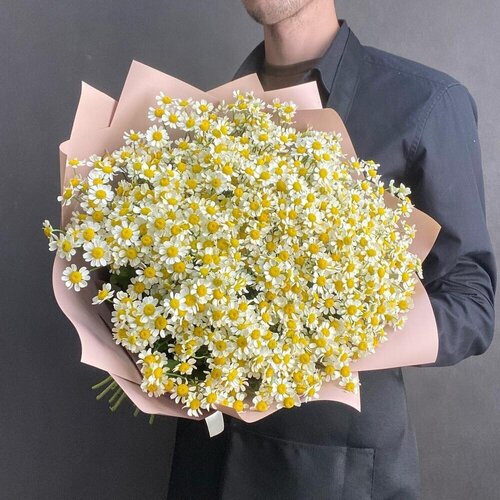 Букет цветов "Кустовые ромашки 25 штук", цветочный магазин Wow Flora