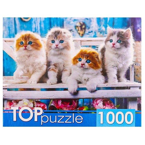 Пазл 1000 Котята скоттиш фолд ШТТП1000-4154 пазлы 1000 гора фицрой аргентина шттп1000 7179