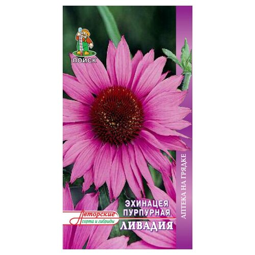 Семена эхинацея пурпурная ливадия 20шт 449₽