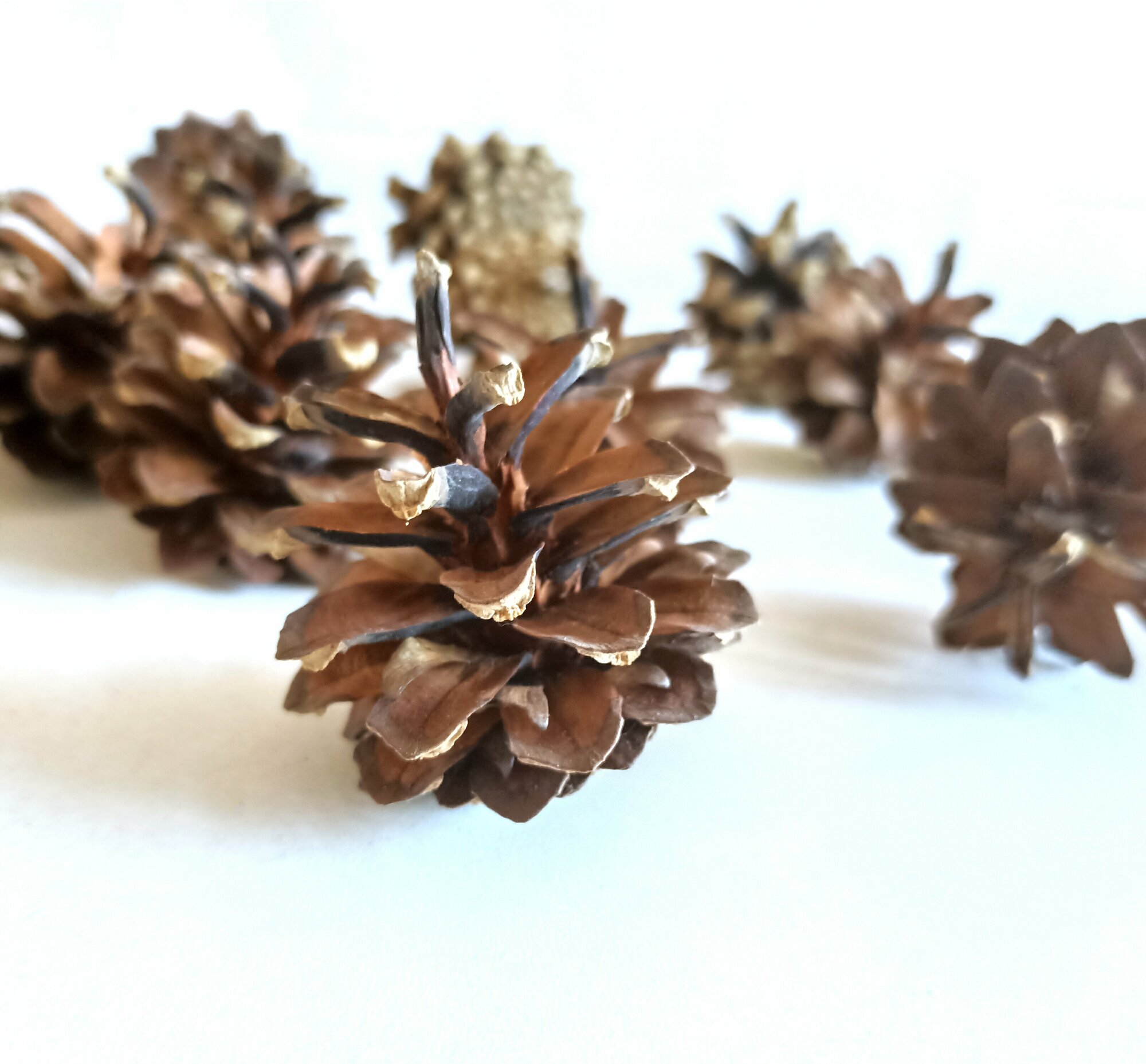 фото Плоский валун FANTASY под роспись, ок. 15 см, натуральный большой камень, для декора, поделок и творчества