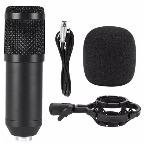 Микрофон студийный конденсаторный BM 800 Черный 120000₽