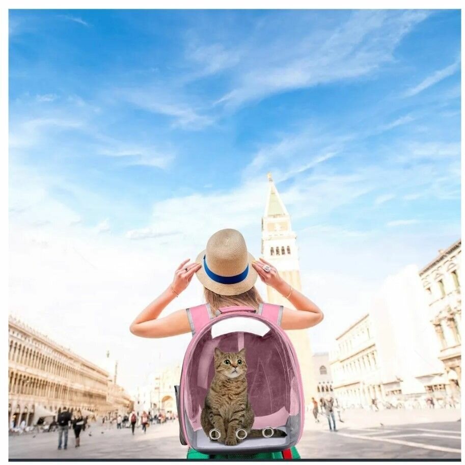 Рюкзак переноска для собак и кошек с иллюминатором / Ранец для животных с панорамным видом Morento розовый - фотография № 6