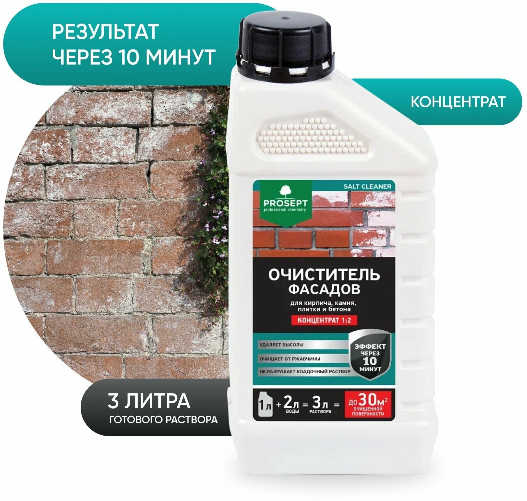 PROSEPT Удалитель высолов Salt Cleaner