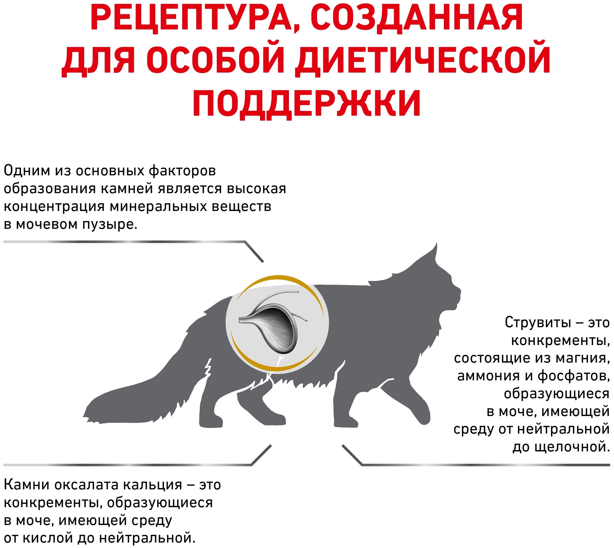 Сухой корм для кошек Royal Canin Urinary S/O, при мочекаменной болезни 2 шт. х 400 г - фотография № 5