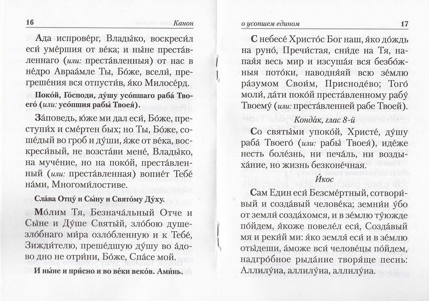 Канон о усопшем едином Лития - фото №4